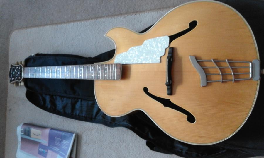 Where are the Hofner full body, (single) florentine cutaway specimens?-20191017_160918-jpg